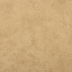 Single Image